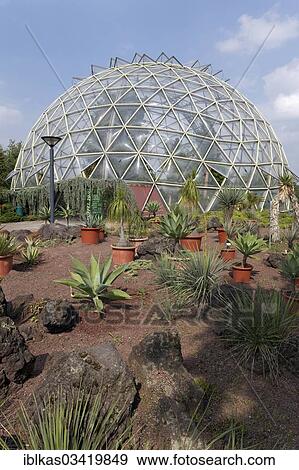 "Dome greenhouse, Botanical Garden of the Heinrich-Heine-University Dusseldorf, Dusseldorf, Rhineland, North Rhine-Westphalia, Germany, Europe" View Large Photo Image Stock Photo - "Dome greenhouse, Botanical Garden of the Heinrich-Heine-University Dusseldorf, Dusseldorf, Rhineland, North Rhine-Westphalia, Germany, Europe". Fotosearch