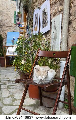 "Domestic cat lying on a chair in the historic centre of Valldemossa or Valldemosa, Valldemossa, Serra de Tramuntana, Majorca, Balearic Islands, Spain, Europe" View Large Photo Image Stock Photo - "Domestic cat lying on a chair in the historic centre of Valldemossa or Valldemosa, Valldemossa, Serra de Tramuntana, Majorca, Balearic Islands, Spain, Europe". Fotosearch