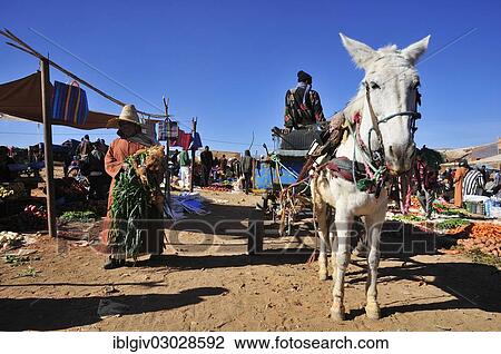 "Donkey cart at the weekly market in Agdz, Draatal, Agdz, Souss-Massa-Draa region, Morocco, Africa" View Large Photo Image Stock Image - "Donkey cart at the weekly market in Agdz, Draatal, Agdz, Souss-Massa-Draa region, Morocco, Africa". Fotosearch