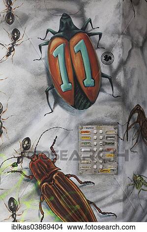 "Doorbells on a facade painted with beetles, Dusseldorf, North Rhine-Westphalia, Germany, Europe" View Large Photo Image Picture - "Doorbells on a facade painted with beetles, Dusseldorf, North Rhine-Westphalia, Germany, Europe". Fotosearch