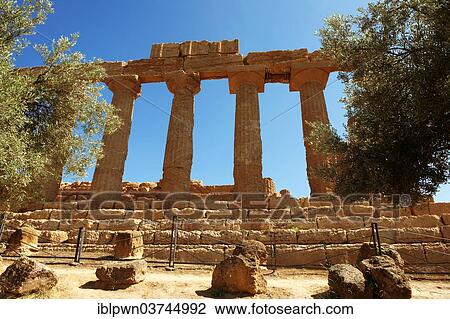 Stock Image - "Doric columns, ruins of the Greek temple of Juno Lucina, Agrigento, Sicily, Italy, Europe". Fotosearch