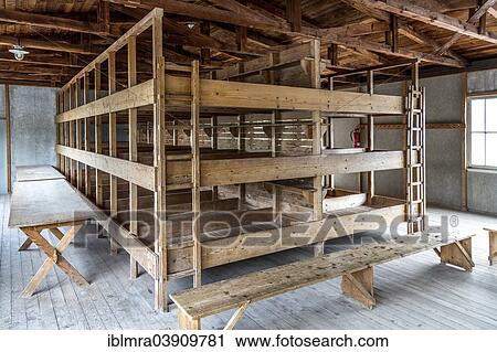 "Dormitories and common room, reconstructed prisoner barracks, Dachau Concentration Camp, Dachau, Bavaria, Germany, Europe" View Large Photo Image Stock Image - "Dormitories and common room, reconstructed prisoner barracks, Dachau Concentration Camp, Dachau, Bavaria, Germany, Europe". Fotosearch