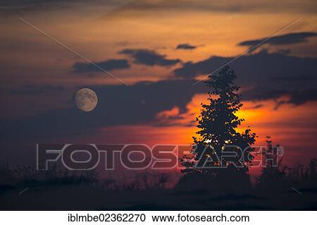 "Double exposure, sunset and full moon, Elstal, Doeberitz Heath, Havelland, Brandenburg, Germany, Europe" View Large Photo Image Stock Image - "Double exposure, sunset and full moon, Elstal, Doeberitz Heath, Havelland, Brandenburg, Germany, Europe". Fotosearch