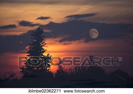 Stock Image - "Double exposure, sunset and full moon, Priort, Brandenburg, Germany, Europe". Fotosearch