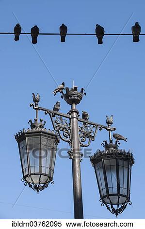 "Doves on a power line and a historic street lamp, historic center, Lisbon, Lisbon District, Portugal, Europe" View Large Photo Image Stock Photography - "Doves on a power line and a historic street lamp, historic center, Lisbon, Lisbon District, Portugal, Europe". Fotosearch