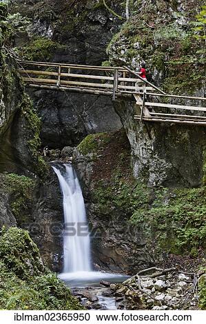 "Dr. Vogelgesang gorge and Trattenbach creek, Spital am Pyhrn, Pyhrn-Priel, Traunviertel region, Upper Austria, Austria, Europe" View Large Photo Image Stock Image - "Dr. Vogelgesang gorge and Trattenbach creek, Spital am Pyhrn, Pyhrn-Priel, Traunviertel region, Upper Austria, Austria, Europe". Fotosearch