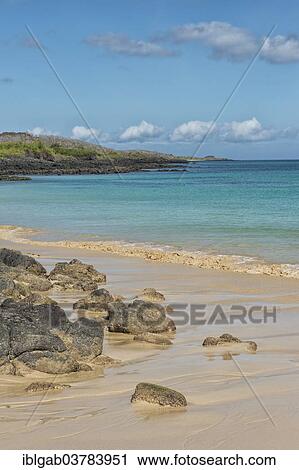 "Dragon Hill beach, Santa Cruz Island, Galapagos Islands, Ecuador, Unesco World Heritage Site, South America" View Large Photo Image Stock Image - "Dragon Hill beach, Santa Cruz Island, Galapagos Islands, Ecuador, Unesco World Heritage Site, South America". Fotosearch