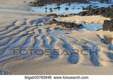 "Dragon Hill beach, Santa Cruz Island, Galapagos Islands, Ecuador, Unesco World Heritage Site, South America" View Large Photo Image Stock Photo - "Dragon Hill beach, Santa Cruz Island, Galapagos Islands, Ecuador, Unesco World Heritage Site, South America". Fotosearch