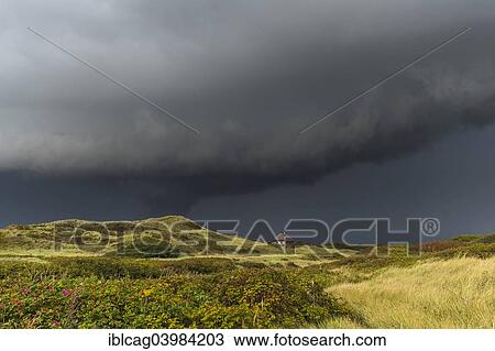 "Dramatic storm clouds over dunes, Henne Strand, Region of Southern Denmark, Denmark, Europe" View Large Photo Image Stock Image - "Dramatic storm clouds over dunes, Henne Strand, Region of Southern Denmark, Denmark, Europe". Fotosearch