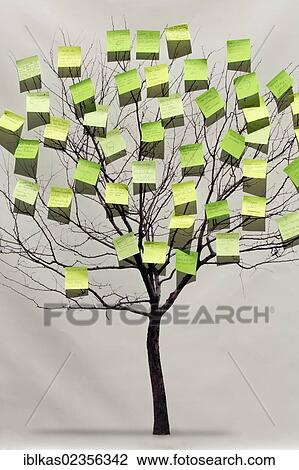 Stock Image - "Drawn tree with leaves of green post-it notes, pinwall with a collection of eco-friendly statements from children, Ideenpark 2012, technology and education summit conference, Essen, Ruhr area, North Rhine-Westphalia, Germany, Europe". Fotosearch