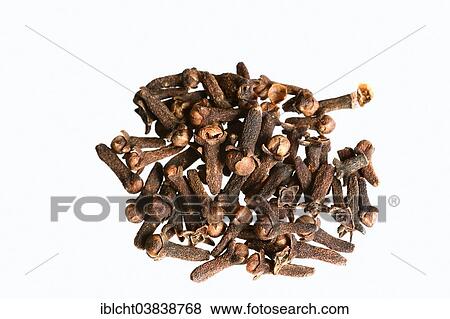Dried Cloves (Syzygium aromaticum) View Large Photo Image Stock Photo - Dried Cloves (Syzygium aromaticum). Fotosearch