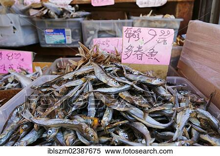 "Dried fish, Chinatown market, San Francisco, California, USA" View Large Photo Image Stock Photography - "Dried fish, Chinatown market, San Francisco, California, USA". Fotosearch