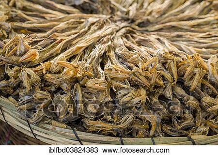 Stock Image - "Dried fish for sale at the weekly market, Nasik, Maharashtra, India, Asia". Fotosearch