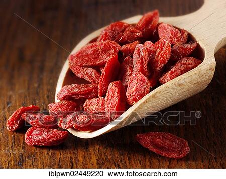 Dried Goji berries View Large Photo Image Stock Image - Dried Goji berries. Fotosearch