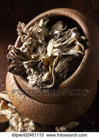 Dried Maitake mushrooms View Large Photo Image Stock Photography - Dried Maitake mushrooms. Fotosearch