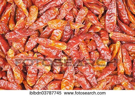 Dried red chili peppers from Vietnam View Large Photo Image Stock Photography - Dried red chili peppers from Vietnam. Fotosearch