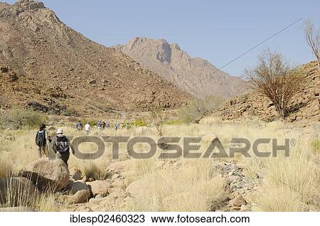 "Dried up river bed, mountain landscape along a trail to the White Lady rock painting in the Tsisab Gorge, Brandberg, Damaraland, Namibia, Africa" View Large Photo Image Stock Image - "Dried up river bed, mountain landscape along a trail to the White Lady rock painting in the Tsisab Gorge, Brandberg, Damaraland, Namibia, Africa". Fotosearch