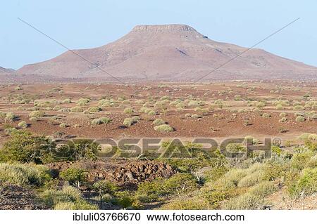 "Dry open landscape, Kunene Region, Namibia, Africa" View Large Photo Image Stock Image - "Dry open landscape, Kunene Region, Namibia, Africa". Fotosearch
