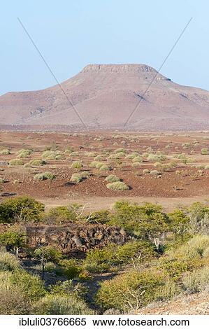 "Dry open landscape, Kunene Region, Namibia, Africa" View Large Photo Image Stock Photography - "Dry open landscape, Kunene Region, Namibia, Africa". Fotosearch