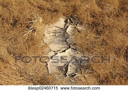 Stock Photography - "Dry river bed, cracked soil, Damaraland, Namibia, Africa". Fotosearch
