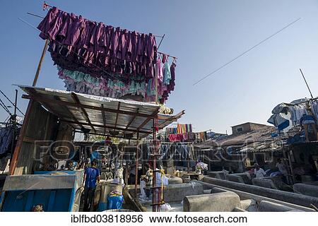 Stock Photograph - "Drying laundry, Mahalaxmi Dhobi Ghat, laundry district of Mumbai, Maharashtra, India, Asia". Fotosearch