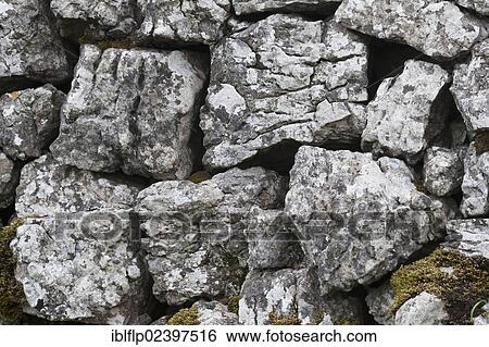 "Drystone wall, close-up of limestone rocks with lichens, Ingleborough National Nature Reserve, Yorkshire Dales National Park, North Yorkshire, England, United Kingdom, Europe" View Large Photo Image Stock Photograph - "Drystone wall, close-up of limestone rocks with lichens, Ingleborough National Nature Reserve, Yorkshire Dales National Park, North Yorkshire, England, United Kingdom, Europe". Fotosearch
