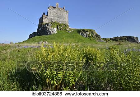 "Duart Castle or Caisteal Dhubhairt, seat of the Clan MacLean, Isle of Mull, Scotland, United Kingdom, Europe" View Large Photo Image Stock Photograph - "Duart Castle or Caisteal Dhubhairt, seat of the Clan MacLean, Isle of Mull, Scotland, United Kingdom, Europe". Fotosearch