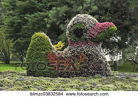 "Duck figure from different flowers, Mainau, Baden-Wurttemberg, Germany, Europe" View Large Photo Image Picture - "Duck figure from different flowers, Mainau, Baden-Wurttemberg, Germany, Europe". Fotosearch
