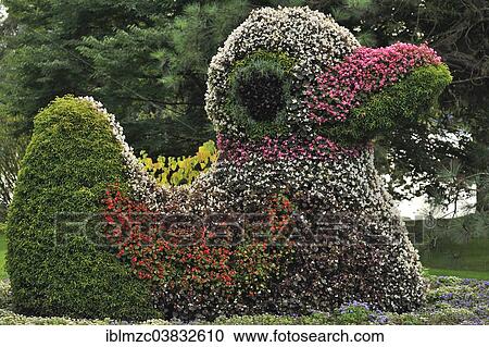 Stock Image - "Duck figure from different flowers, Mainau, Baden-Wurttemberg, Germany, Europe". Fotosearch