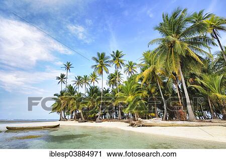 Stock Image - "Dugout boat, deserted beach with palm trees on a tropical island, Cayos Chichime, Chichime Cays, San Blas Islands, Panama, North America". Fotosearch