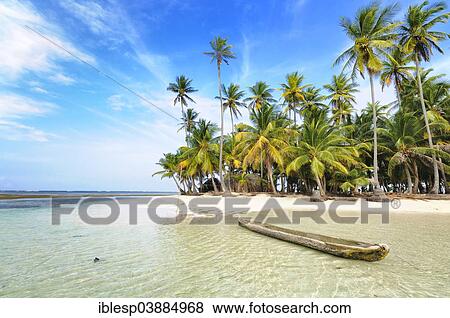Stock Photo - "Dugout boat, deserted beach with palm trees on a tropical island, Cayos Chichime, Chichime Cays, San Blas Islands, Panama, North America". Fotosearch