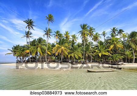 "Dugout boats, deserted beach with palm trees on a tropical island, Cayos Chichime, Chichime Cays, San Blas Islands, Panama, North America" View Large Photo Image Stock Image - "Dugout boats, deserted beach with palm trees on a tropical island, Cayos Chichime, Chichime Cays, San Blas Islands, Panama, North America". Fotosearch