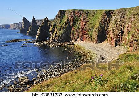 "Duncansby Stacks pinnacles in the morning light, John o'Groats, Caithness, Sutherland and Easter Ross, Highlands, Scotland, United Kingdom, Europe" View Large Photo Image Stock Image - "Duncansby Stacks pinnacles in the morning light, John o'Groats, Caithness, Sutherland and Easter Ross, Highlands, Scotland, United Kingdom, Europe". Fotosearch