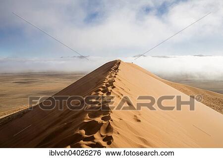 "Dune 45 with morning fog, sand dunes, Sossusvlei, Namib Desert, Namibia, Africa" View Large Photo Image Stock Photograph - "Dune 45 with morning fog, sand dunes, Sossusvlei, Namib Desert, Namibia, Africa". Fotosearch