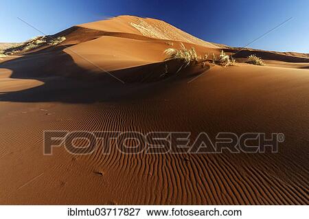 "Dune at Deadvlei, Deadvlei, Sossusvlei, Namib-Naukluft Park, Namib Desert, Namibia, Africa" View Large Photo Image Stock Photo - "Dune at Deadvlei, Deadvlei, Sossusvlei, Namib-Naukluft Park, Namib Desert, Namibia, Africa". Fotosearch