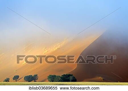 "Dune in the morning mist, Sossusvlei, Namib Wuste, Namib-Naukluft-Nationalpark, Namibia, Namibia, Africa" View Large Photo Image Stock Photography - "Dune in the morning mist, Sossusvlei, Namib Wuste, Namib-Naukluft-Nationalpark, Namibia, Namibia, Africa". Fotosearch