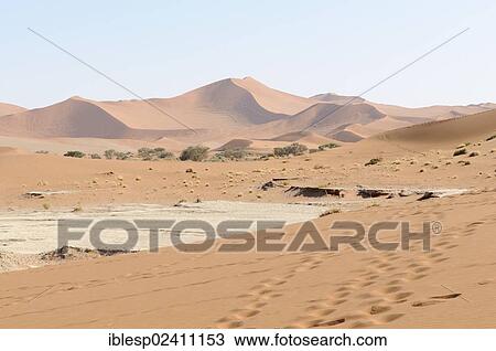 Stock Image - "Dune landscape at Sossusvlei, Deadvlei, Sossusvlei, Namib Desert, Namib Naukluft Park, Namibia, Africa". Fotosearch