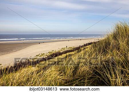 "Dune landscape in winter, Spiekeroog, East Frisian Islands, East Frisia, Lower Saxony, Germany, Europe" View Large Photo Image Stock Image - "Dune landscape in winter, Spiekeroog, East Frisian Islands, East Frisia, Lower Saxony, Germany, Europe". Fotosearch
