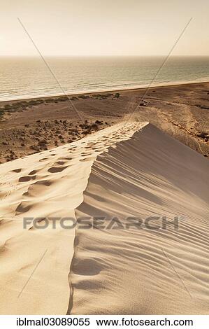 "Dune landscape, Risco del Paso, Fuerteventura, Canary Islands, Spain, Europe" View Large Photo Image Stock Photography - "Dune landscape, Risco del Paso, Fuerteventura, Canary Islands, Spain, Europe". Fotosearch