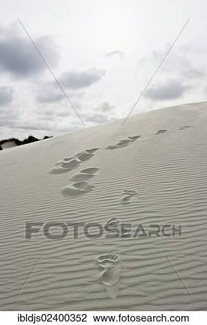 "Dunes, Amrum, North Frisian Islands, Schleswig-Holstein, Germany, Europe" View Large Photo Image Stock Image - "Dunes, Amrum, North Frisian Islands, Schleswig-Holstein, Germany, Europe". Fotosearch
