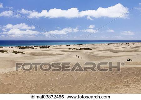 "Dunes and beach of Maspalomas, Gran Canaria, Canary Islands, Spain, Europe" View Large Photo Image Stock Photography - "Dunes and beach of Maspalomas, Gran Canaria, Canary Islands, Spain, Europe". Fotosearch