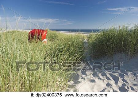 "Dunes and red roofed wicker beach chair, Amrum, North Frisian Islands, Schleswig-Holstein, Germany, Europe" View Large Photo Image Stock Photography - "Dunes and red roofed wicker beach chair, Amrum, North Frisian Islands, Schleswig-Holstein, Germany, Europe". Fotosearch