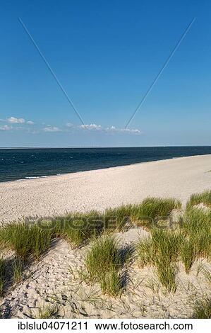 Stock Image - "Dunes by the sea, Ellenbogen, Sylt, North Frisia, Schleswig-Holstein, Germany, Europe". Fotosearch