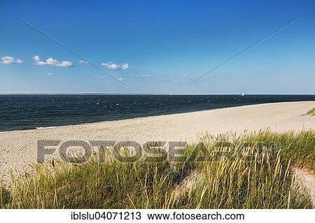 "Dunes by the sea, Ellenbogen, Sylt, North Frisia, Schleswig-Holstein, Germany, Europe" View Large Photo Image Stock Image - "Dunes by the sea, Ellenbogen, Sylt, North Frisia, Schleswig-Holstein, Germany, Europe". Fotosearch