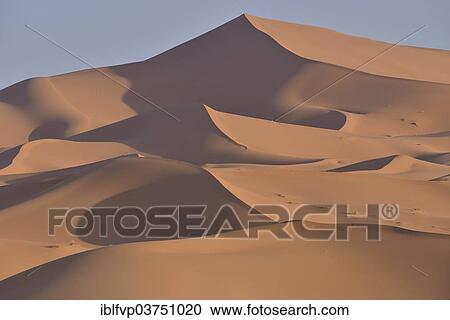 "Dunes in the morning light, Great Sand Sea, Sahara, Merzouga, Meknes-Tafilalet region, Morocco, Africa" View Large Photo Image Stock Image - "Dunes in the morning light, Great Sand Sea, Sahara, Merzouga, Meknes-Tafilalet region, Morocco, Africa". Fotosearch