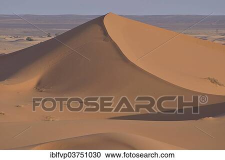 "Dunes in the morning light, Great Sand Sea, Sahara, Meknes-Tafilalet region, Morocco, Africa" View Large Photo Image Stock Image - "Dunes in the morning light, Great Sand Sea, Sahara, Meknes-Tafilalet region, Morocco, Africa". Fotosearch