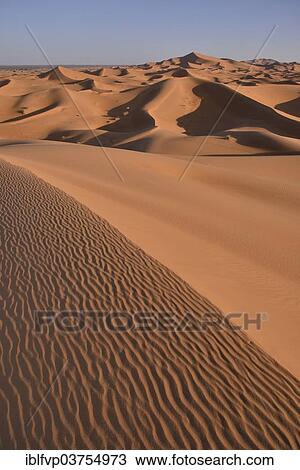 "Dunes in the morning light, Great Sand Sea, Merzouga, Meknes-Tafilalet region, Morocco, Africa" View Large Photo Image Stock Image - "Dunes in the morning light, Great Sand Sea, Merzouga, Meknes-Tafilalet region, Morocco, Africa". Fotosearch