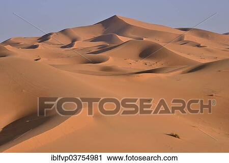 "Dunes in the morning light, Great Sand Sea, Sahara, Merzouga, Meknes-Tafilalet region, Morocco, Africa" View Large Photo Image Stock Image - "Dunes in the morning light, Great Sand Sea, Sahara, Merzouga, Meknes-Tafilalet region, Morocco, Africa". Fotosearch
