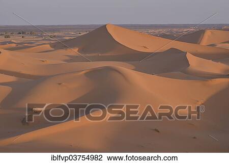 "Dunes in the morning light, Great Sand Sea, Sahara, Merzouga, Meknes-Tafilalet region, Morocco, Africa" View Large Photo Image Stock Image - "Dunes in the morning light, Great Sand Sea, Sahara, Merzouga, Meknes-Tafilalet region, Morocco, Africa". Fotosearch