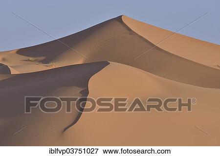 "Dunes in the morning light, Great Sand Sea, Sahara, Meknes-Tafilalet region, Morocco, Africa" View Large Photo Image Stock Photo - "Dunes in the morning light, Great Sand Sea, Sahara, Meknes-Tafilalet region, Morocco, Africa". Fotosearch